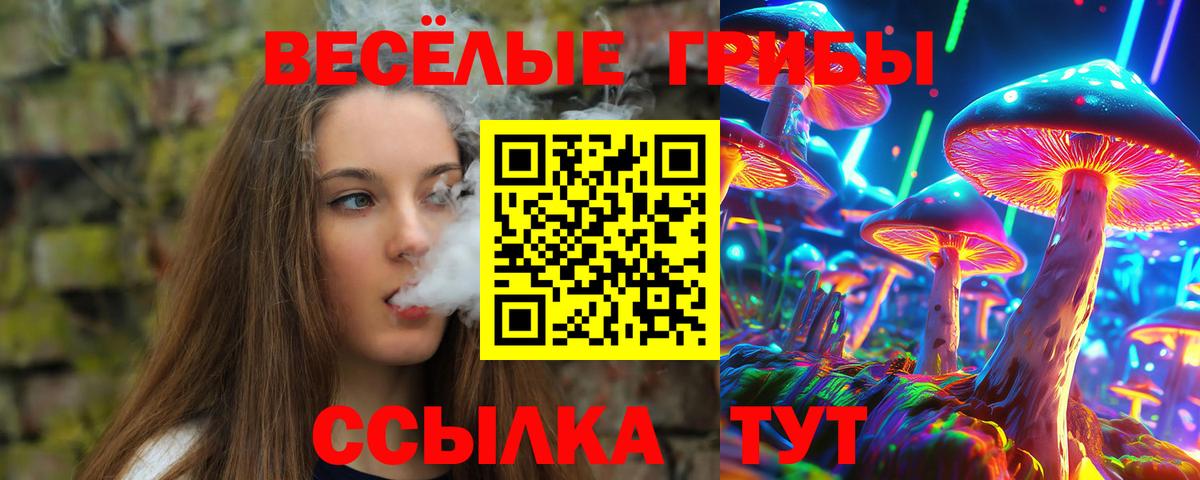 A-PVP СК   МЕФ   Гашиш  Вход с VPN  Продажа наркотиков  Канабис  MDMA  Кстово  Cocaine 