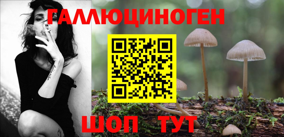 Галлюциногенные грибы MAGIC MUSHROOMS  где купить наркоту  Кстово  Галлюциногенные грибы Psilocybe 