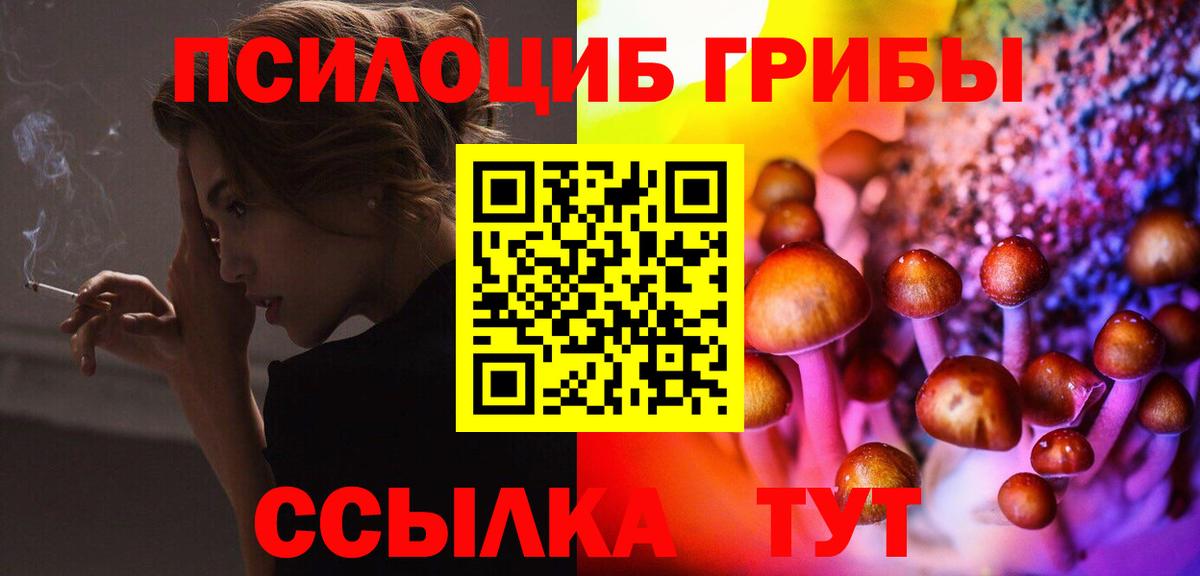 Галлюциногенные грибы Psilocybe  купить наркотики сайты  Кстово  Галлюциногенные грибы Psilocybine cubensis  Вход с VPN 